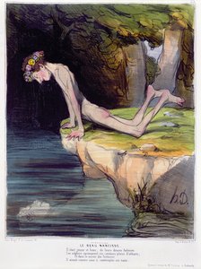 The Beautiful Narcissus, karikatur gravert av d